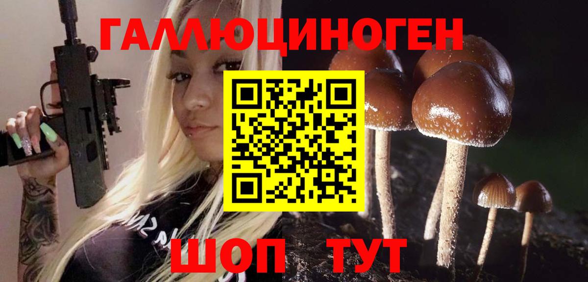 Ялуторовск  Галлюциногенные грибы прущие грибы  Вход с VPN 